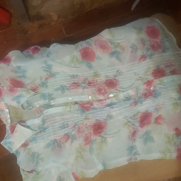 Pretty sheer blouse - Picture 3 of 3